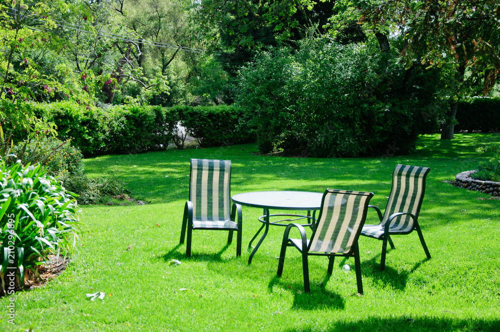 Green summer backyard garden with grass, table and chairs Green summer backyard garden with grass, table and chairs