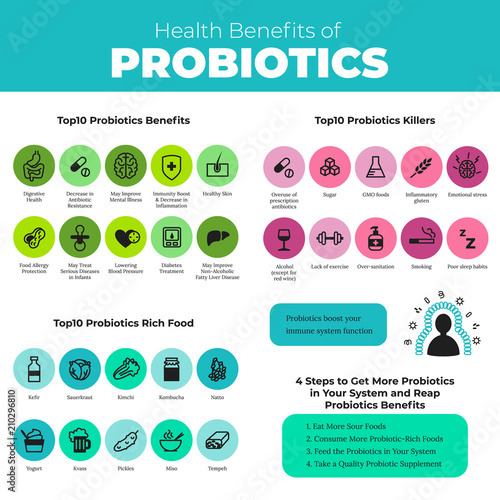 Probiotics health benefits vector infographic. Flat stroke illustration about nutrient rich food and how probiotics influences human body.