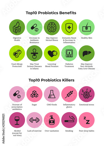 Probiotics health benefits vector infographic. Flat stroke illustration about nutrient rich food and how probiotics influences human body.