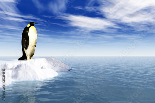 Antarctic penguin on ice