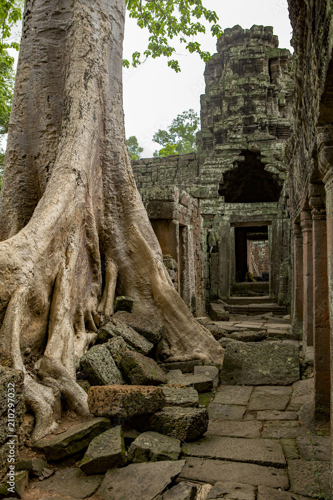 Ruine khmer à Angkor