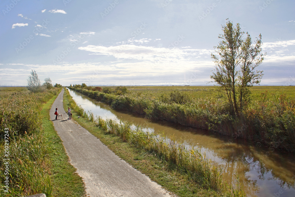 Weg und Kanal am Neusiedler See in Österreich