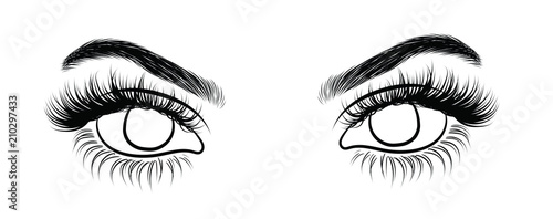 Illustration of woman's sexy luxurious eye with perfectly shaped eyebrows and full lashes. Hand-drawn Idea for business visit card, typography vector. Perfect salon look.