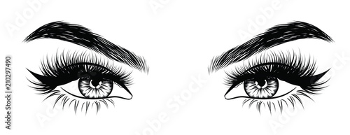 Illustration of woman's sexy luxurious eye with perfectly shaped eyebrows and full lashes. Hand-drawn Idea for business visit card, typography vector. Perfect salon look.