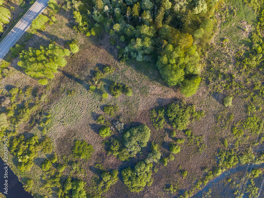 Aerial view of a forest lake 