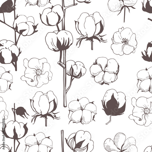 Vector seamless pattern with cotton plant flower. Line illustration of cotton flowers.