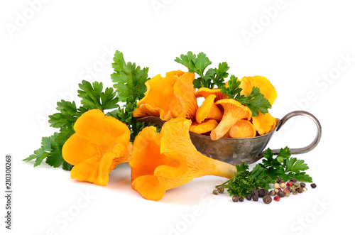 Yellow chanterelles mushrooms