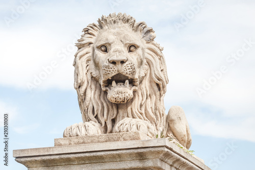 Scaring stone lion from the Chain Bridge across the river Danube in Budapest