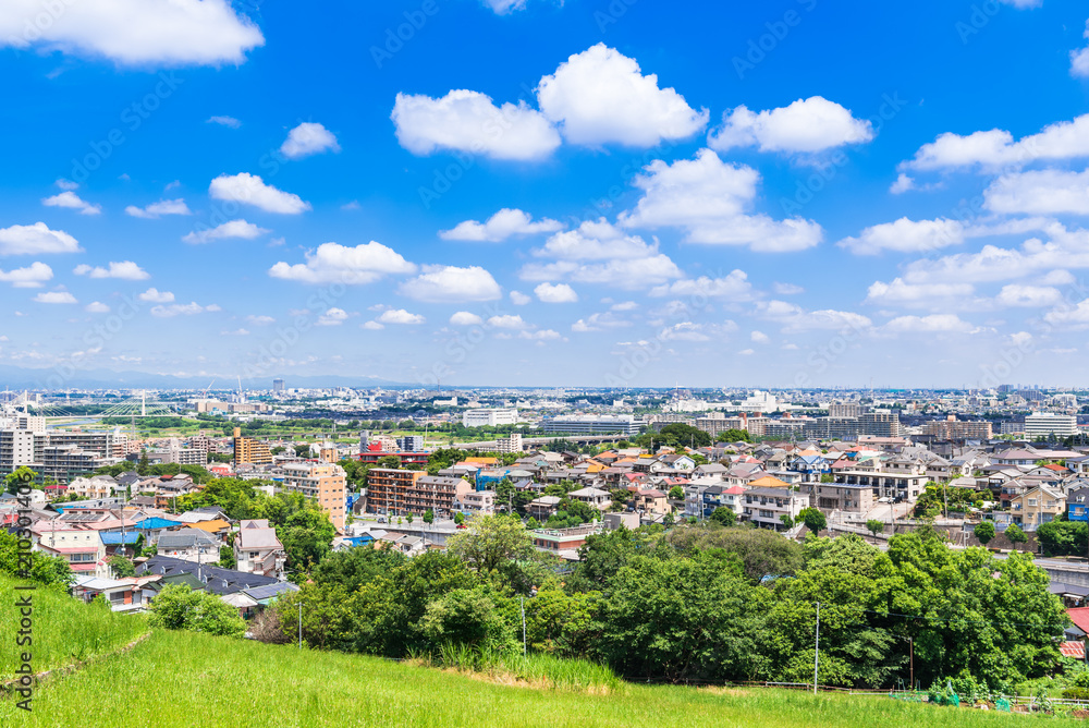 Obraz premium 青空が広がる住宅街