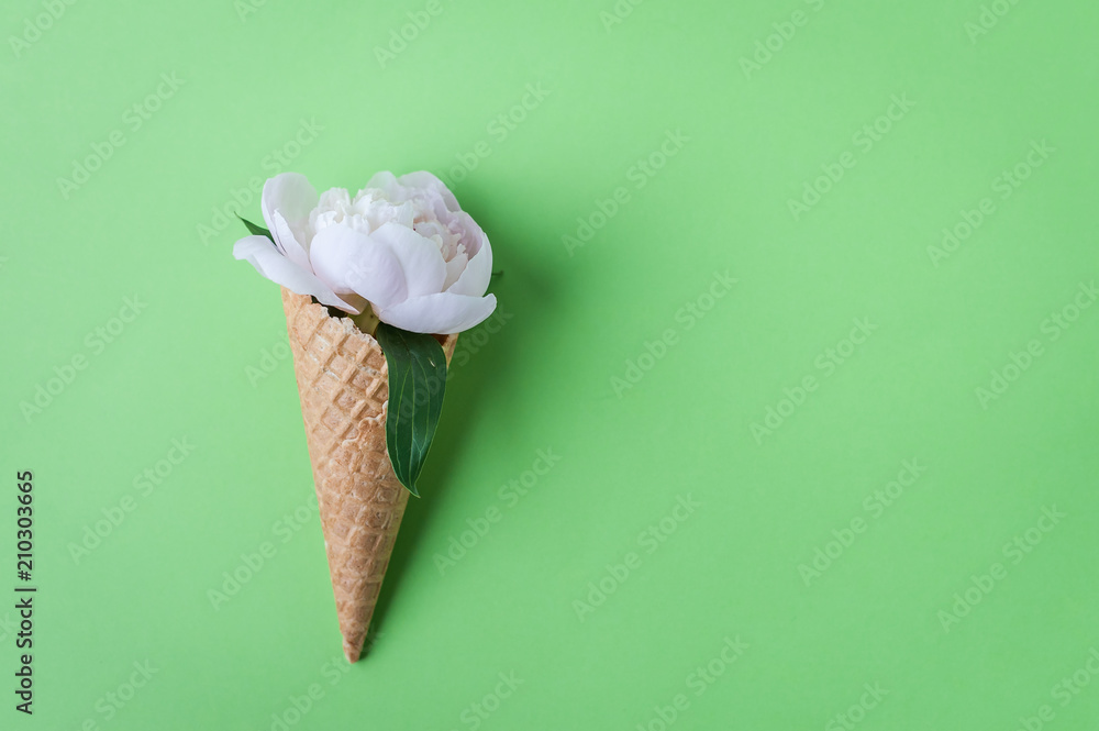 Ice cream horn or cone with white peony flower over green background. Summer concept. Minimalism, copy space, top view.. Ice cream horn or cone with white peony flower over green background. Summer concept. Minimalism, copy space, top view..