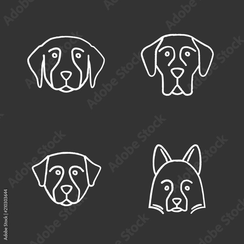 Dogs breeds chalk icons set