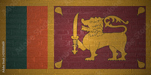 Flag of Sri Lanka on brick wall background, 3d illustration
