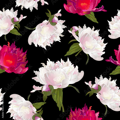 Vector botanical seamless pattern with peonies flowers on black. Modern floral pattern for textile, wallpaper, print, gift wrap, greeting or wedding background. Spring or summer design.