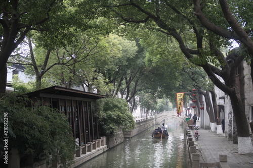 very nice Chinese houses next to canal surrounded with trees 