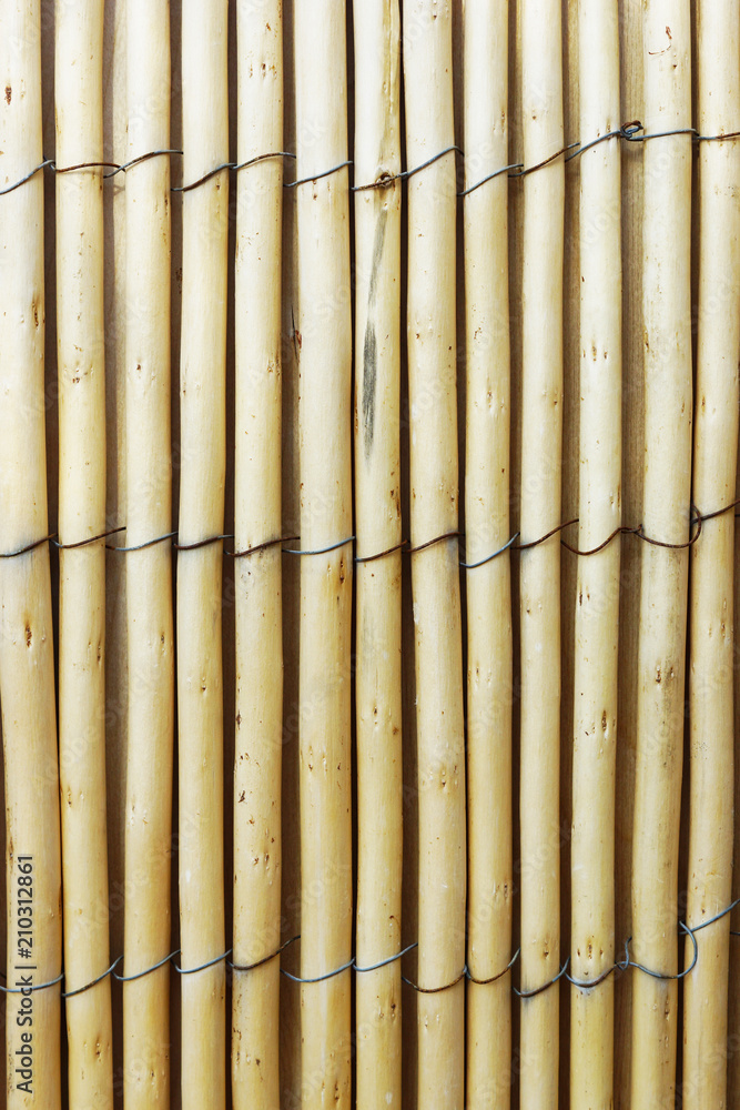 Fototapeta premium Bambuswand