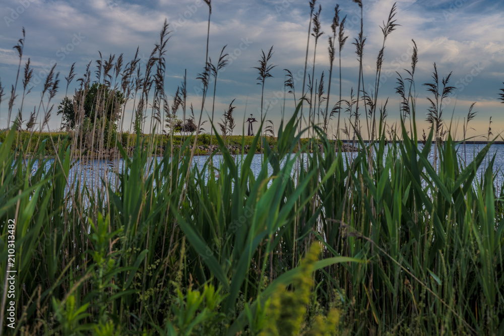 Lake Front Buffalo