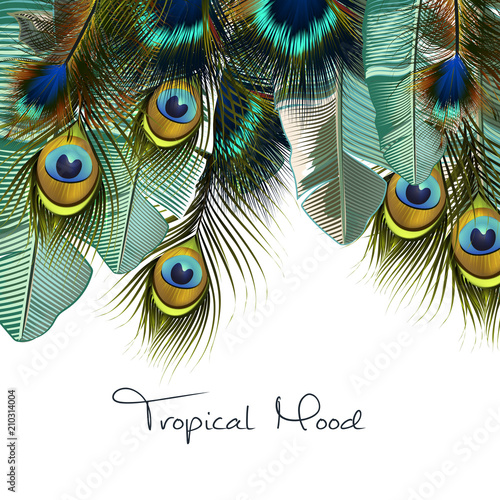 Fashion tropical illustration with realistic peacock feathers and banana green leafs