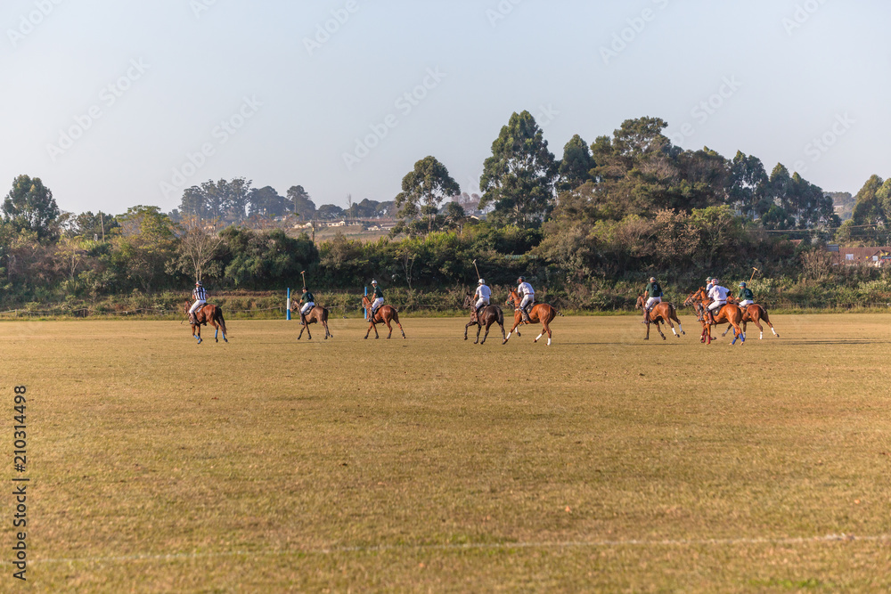 Polo Riders Horses Game Action