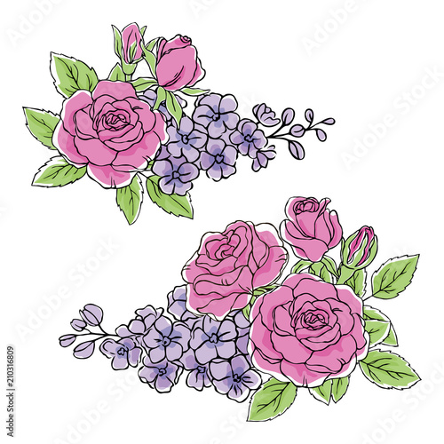 vector contour color blue delphinium pink rose flower leaf simple summer set on white top frame border