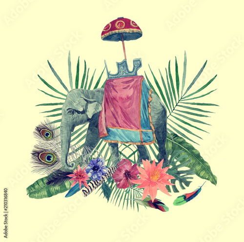 Watercolor hand drawn illustration with elephant, leaves, flowers, feathers.