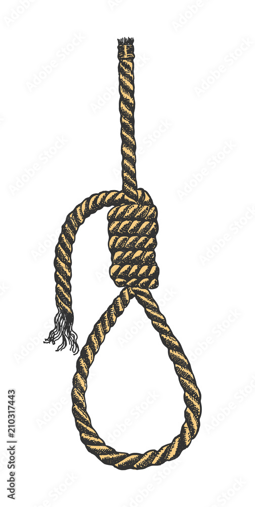 Lynch loop. A rope loop. A rope knot. Vector illustration. Stock