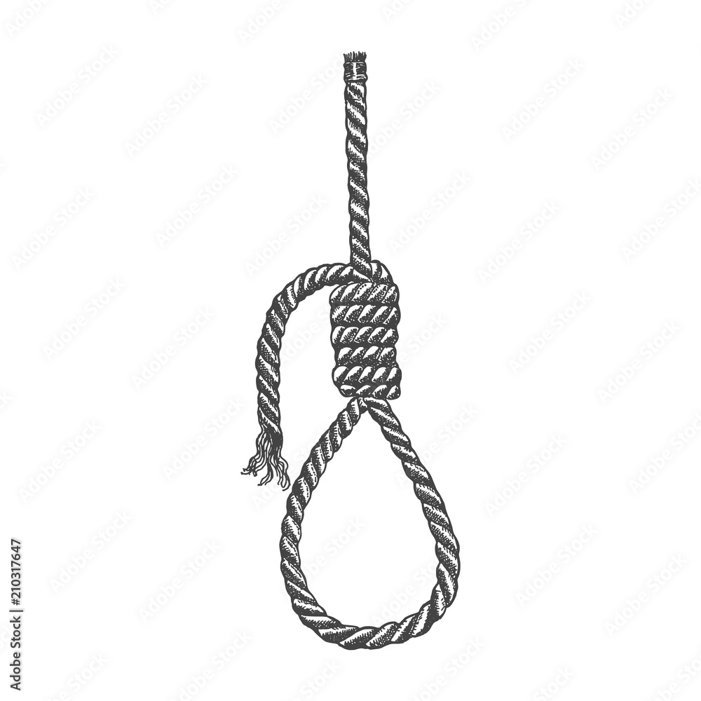 Vetor de Lynch loop. A rope loop. A rope knot. Vector illustration. do ...