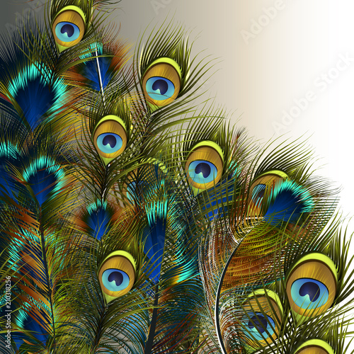 Fashion vector peacock feathers illustration in blue and green colors