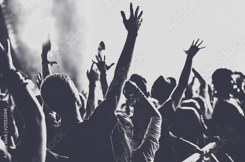 People with raised arms partying at concert