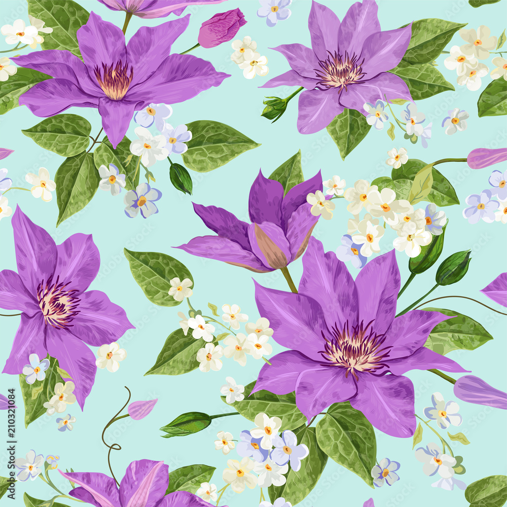 Fotografie Watercolor Clematis Flowers