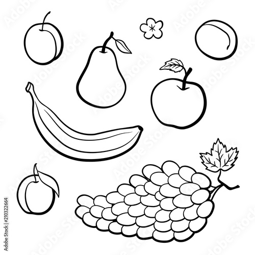 Set of outline vector fruits. Apple, banana, pear, plum, apricot and grapes. Black and white vector illustration;