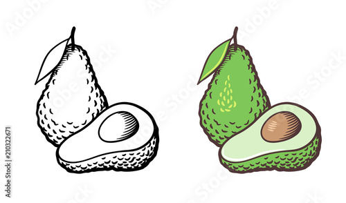 Hand drawn vector illustration of avocado. Whole fruit with leaf, cross section and kernel. Outline and colored version