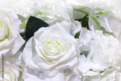 white roses plastic beautiful for background