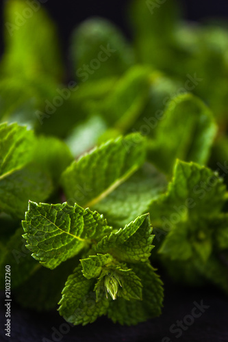 Green mint leaves on a black background. Fresh green leaves.