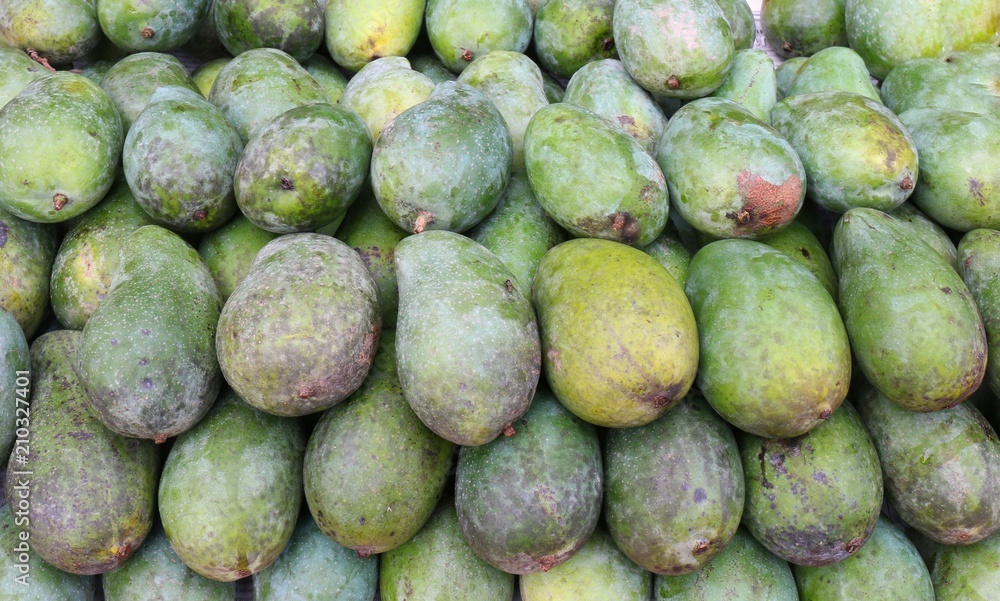 Raw Mango green pile for abstract background fruit, Product from Mango dieting clean food, street foods, Organic fruit Mango food green Raw Mango green pile for abstract background fruit, Product from Mango dieting clean food, street foods, Organic fruit Mango food green