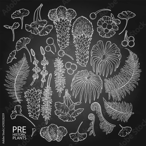 Collection of vector prehistoric plants