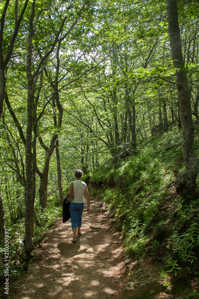 Promeneuse solitaire dans les bois