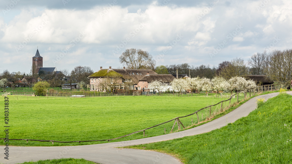 Obraz premium The dyke near Lienden in the Betuwe fruit region in the Netherlands