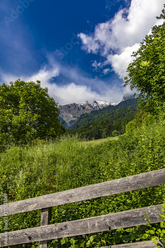 View at Swiss Alps