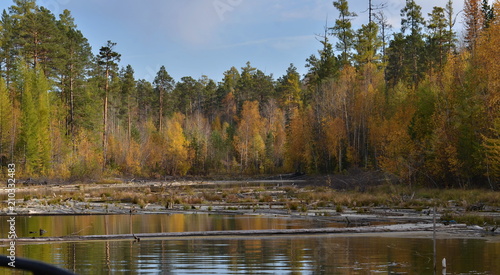 Tableau sur toile Siberian river Ilim in autumn
