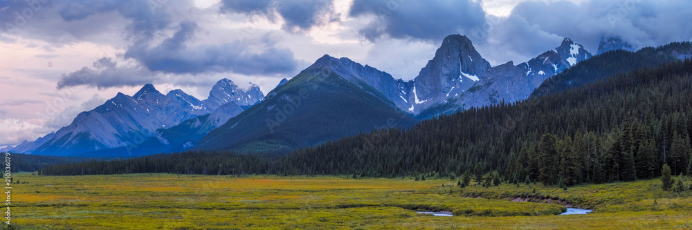 Obraz premium Mountain Meadow in the Canadian Rocky mountains in Kananaskis, Alberta