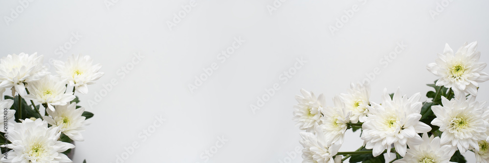 Blumen Hintergrund Blumen Hintergrund