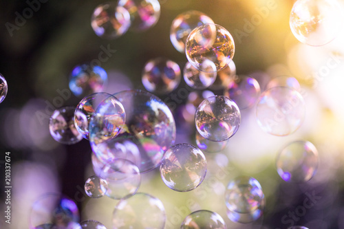 Bunte Seifenblasen im Park, Leichtigkeit und Freude © Patrick Daxenbichler