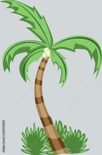 Palmera