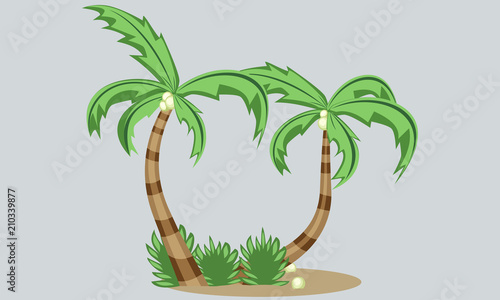 Palmera