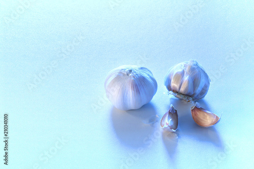 garlic close-up