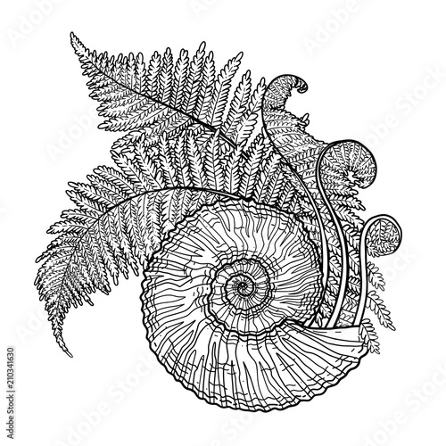 Prehistoric graphic seashell and fern branches