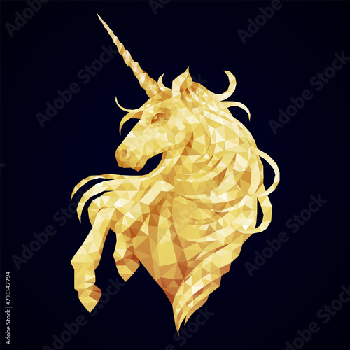 Graphic low poly unicorn photo