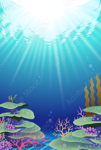 海の中の風景　珊瑚礁　サンゴ礁