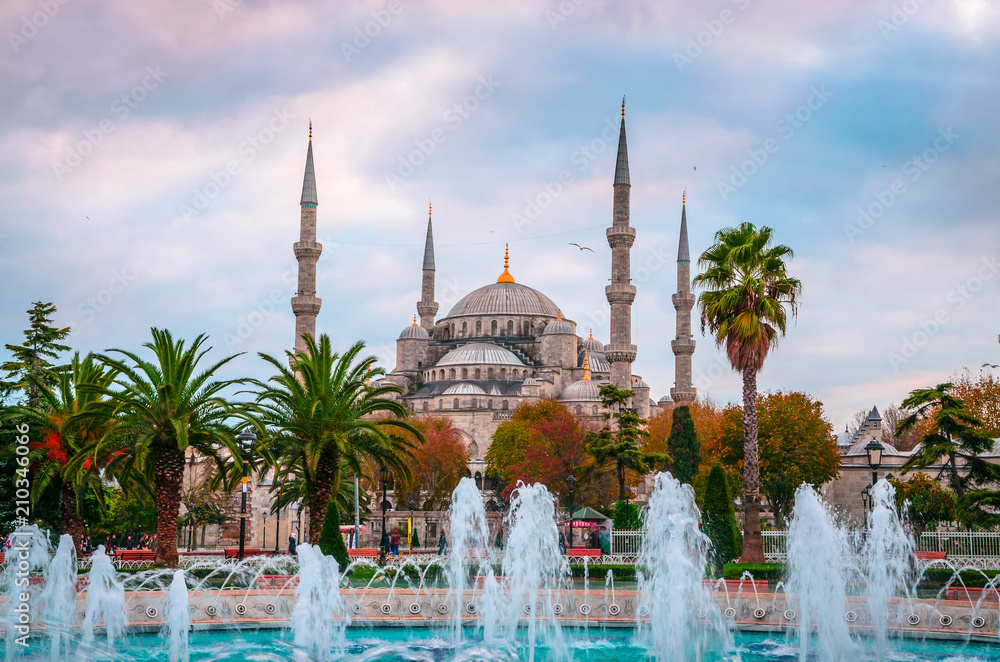 Naklejka premium The Blue Mosque, (Sultanahmet Camii) in sunset, Istanbul, Turkey.