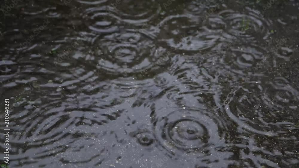 雨降り 雨降り